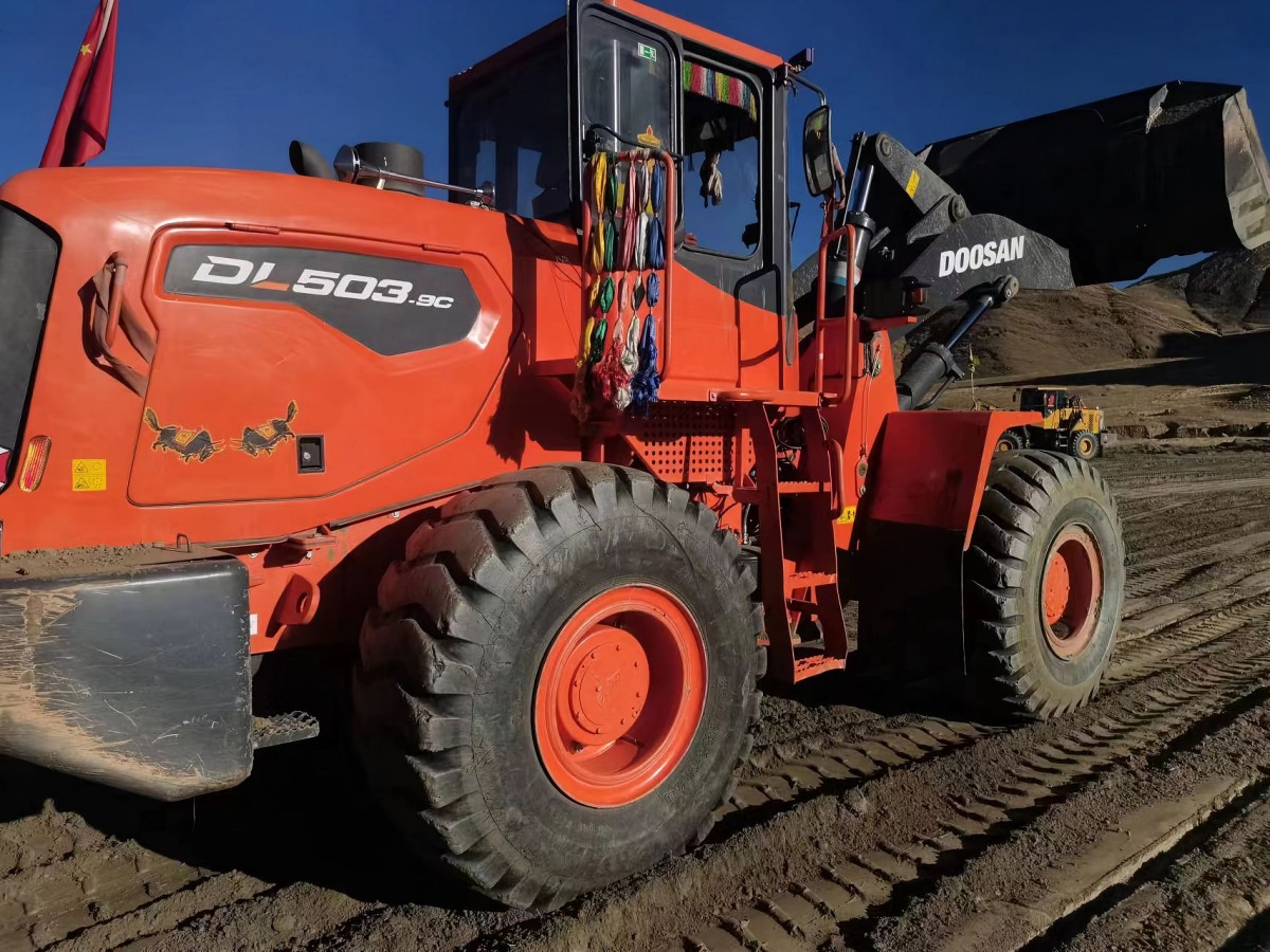 Used DOOSAN DL503 Wheel Loader for Sale - 图片 5